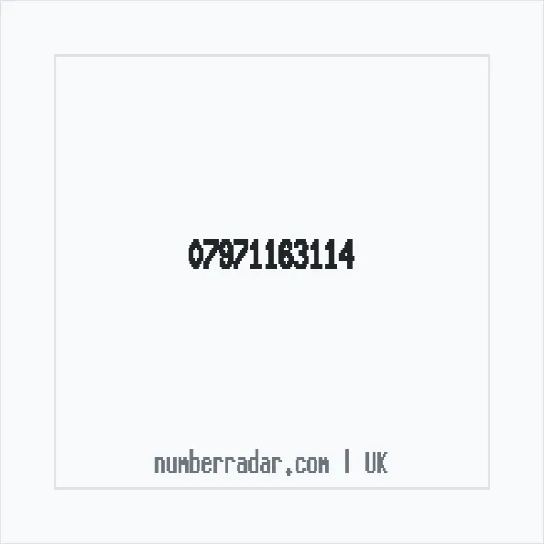 Reverse number check for +44 7971 163114 — who called me?