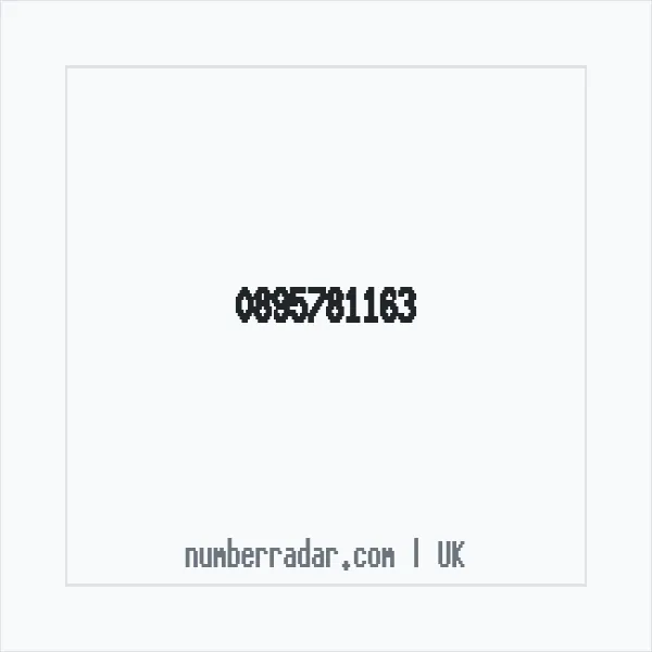 Reverse number check for +44 895781163 — who called me?