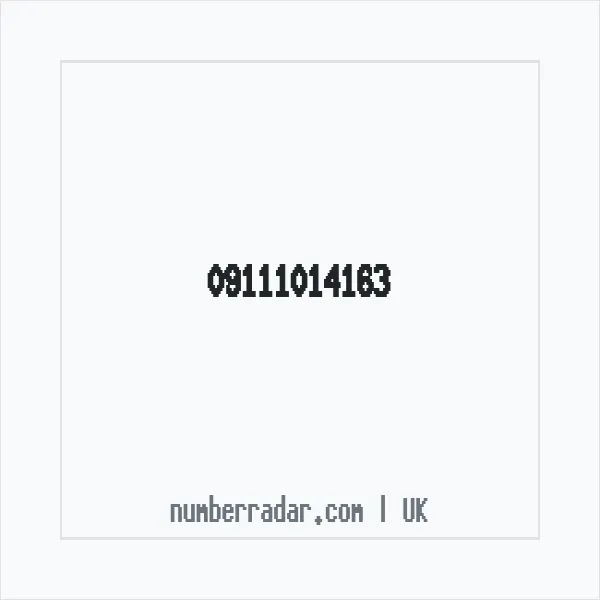 Reverse number check for +44 (9111) 014-163 — who called me?