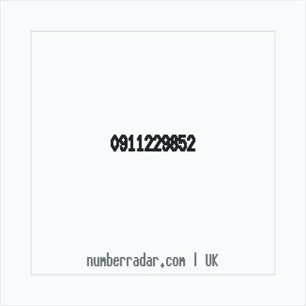Reverse number check for +44 911229852 — who called me?